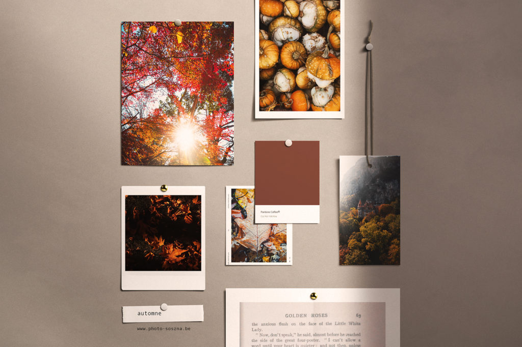 automne inspiration photo